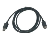 DisplayPort Cable